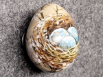Eier im Nest
